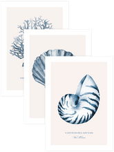 Vita Marina - Poster Seti Trio